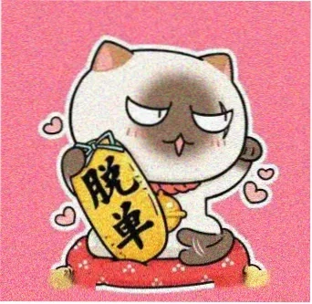 追剧小队长